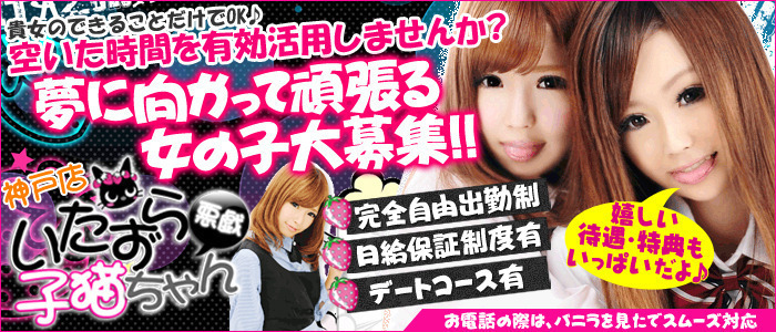 いたずら子猫ちゃん 神戸店
