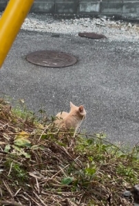 当日欠勤罰金ありますか？？のアイキャッチ画像
