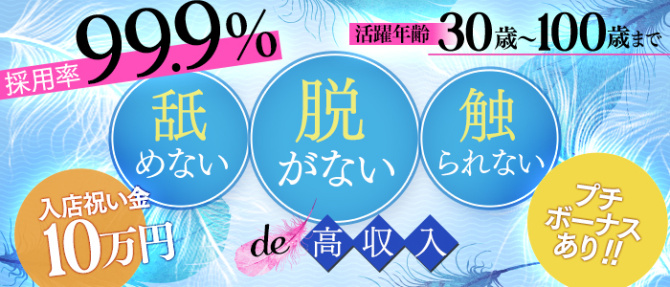 SA~Sanitatem Angelum~癒やしの天使のぽっちゃり求人画像