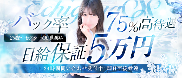 えちごやSS商事