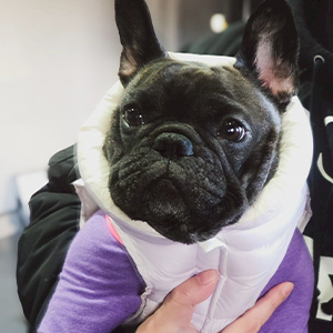 雑費完全無料！無駄な引かれ物一切なし！！のアイキャッチ画像