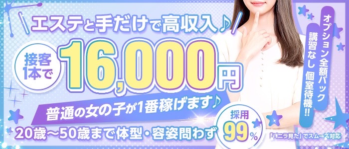 エロティックマッサージ 新橋のぽっちゃり求人画像