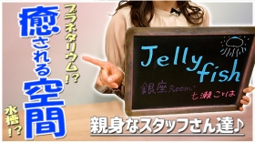 Jellyfish 銀座Roomの求人動画