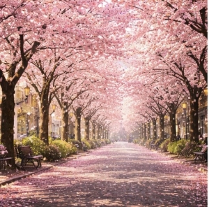 あなたの新生活応援します！のアイキャッチ画像