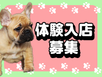 ＣＯＣＯグループで働くメリット5