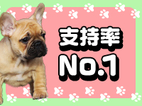 ＣＯＣＯグループで働くメリット6