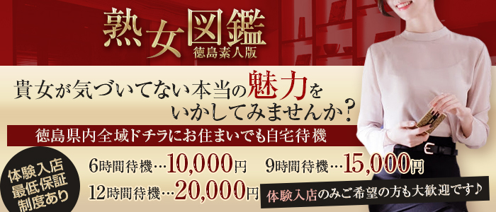 熟女図鑑 徳島素人版の求人画像