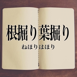 わからない時は根掘り葉掘り聞いてください♪のアイキャッチ画像