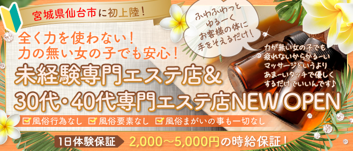 解放区 IN 仙台店のぽっちゃり求人画像