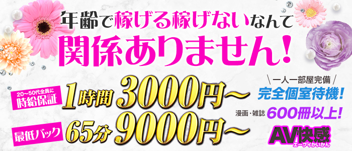 AV快感の求人画像