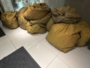 「今日だけでこの量。今めちゃくちゃ稼げます。」のアイキャッチ画像