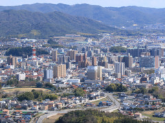 驚異の77.2%!!
