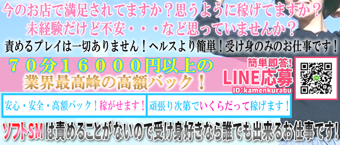 仮面倶楽部の求人画像