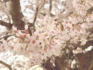 4月もよろしくお願いいたします♪のアイキャッチ画像