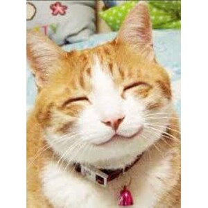 錦糸町の客層とは？！のアイキャッチ画像