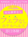 関西セレクションの面接官