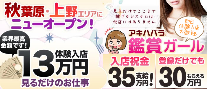 秋葉原 鑑賞ガールの体験入店求人画像