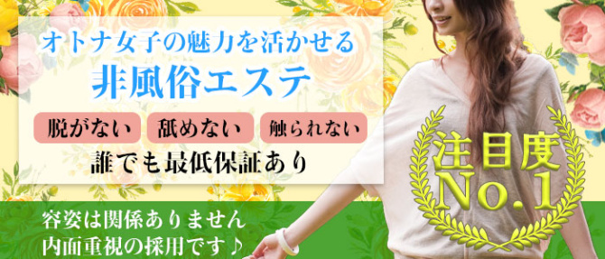 簡単エステのぽっちゃり求人画像