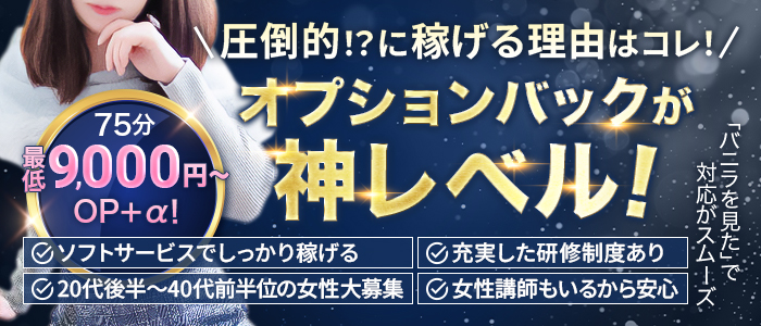 可憐な妻とアロマセラピストたちの求人画像