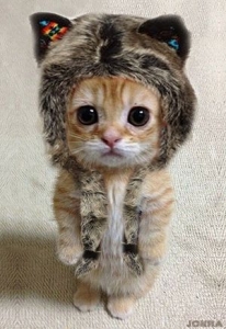 『初めての風俗』のアイキャッチ画像
