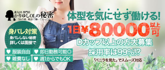 かりゆしOLの秘密のぽっちゃり求人画像