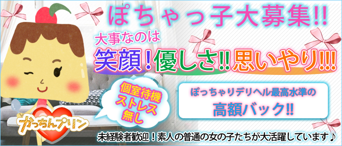 かっちんプリンの求人画像