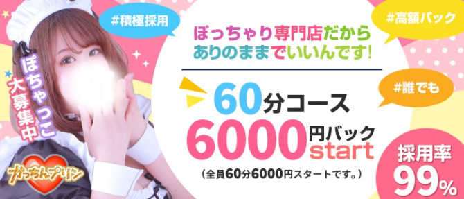 かっちんプリンのぽっちゃり求人画像
