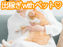 ペット寮完備！