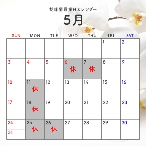 2026年5月営業日カレンダー🎏のアイキャッチ画像