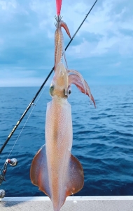 お盆休み、いかがお過ごしですか？🦑🎣のアイキャッチ画像