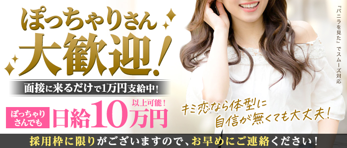 キミのとなりで恋がはじまるのぽっちゃり求人画像