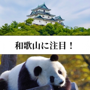 和歌山に大注目！のアイキャッチ画像
