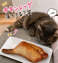 「娘(猫)が寝ていたら&hellip;チキンレッグにしか見えなかった件」のアイキャッチ画像