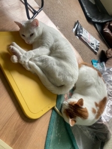 ひさぶり〜のアイキャッチ画像