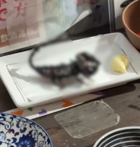 🦂 人生初のサソリ、食べてきましたのアイキャッチ画像