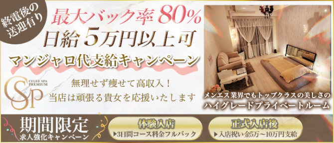 CELEB SPA PREMIUM(セレブスパプレミアム)のぽっちゃり求人画像