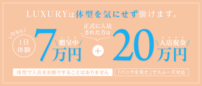 LUXURYのぽっちゃり求人画像