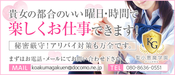 聖小悪魔学園チーム研究生の求人画像