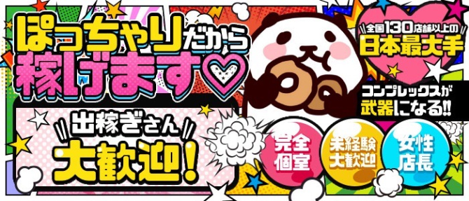 高知ちゃんこのぽっちゃり求人画像