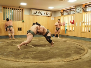 相撲部屋のアイキャッチ画像