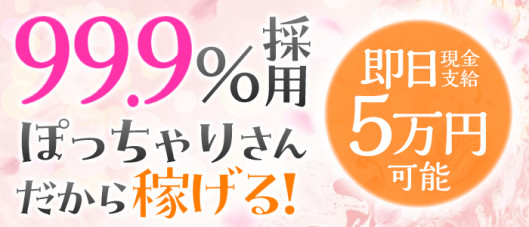 恋のうたの求人情報