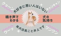 恋せよ乙女で働くメリット1