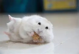 アットホームな環境です！のアイキャッチ画像