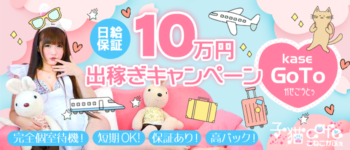 子猫カフェの求人情報