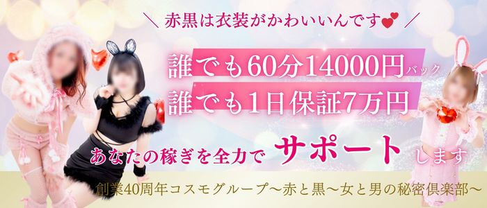 赤と黒~女と男の秘密倶楽部~の求人画像