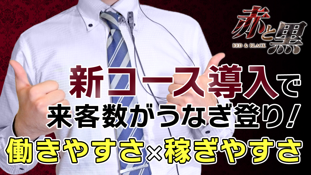 赤と黒～女と男の秘密倶楽部～の求人動画