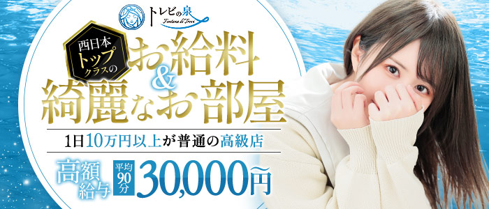 トレビの泉は城東町の高級ソープの求人画像