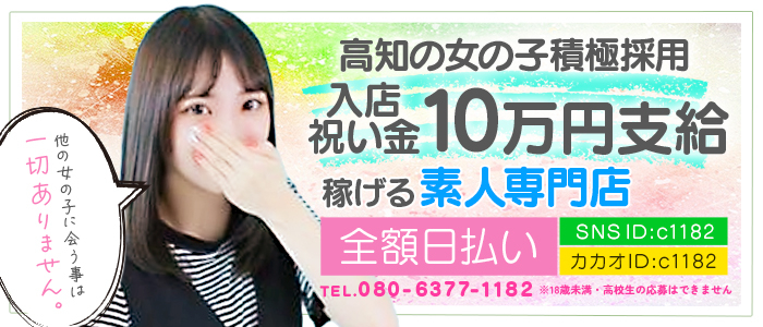 「高知」シンデレラ