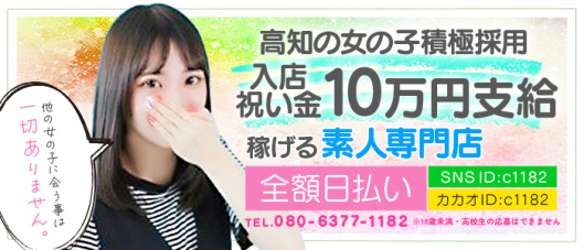 「高知」シンデレラ(高知)の求人情報