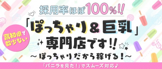 高知ぽっちゃり専門店の求人情報